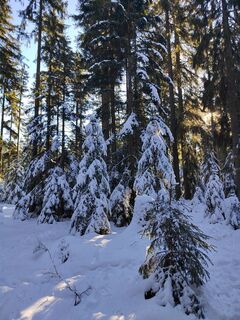 Photo from ReginaSt along the tour