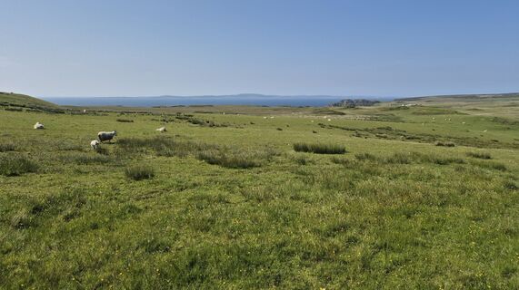 Argyll and Bute Gehen