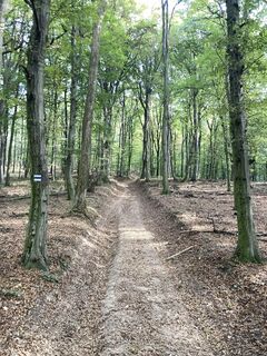 Photo de Hajni Obernyik le long du parcours