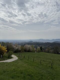 Zdjęcie z MF wzdłuż trasy