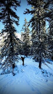 Photo de Franz hofner le long du parcours
