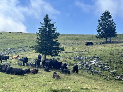 Fotografie de la Lillo Condello de-a lungul turului