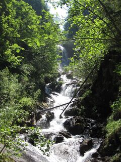 Bach entlang der Strecke
