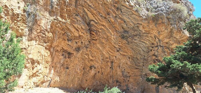 Fotografie z Zsolt Lajter na trase