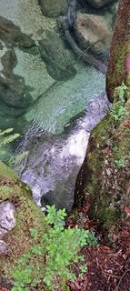 Photo de Pascal Ch. le long du parcours