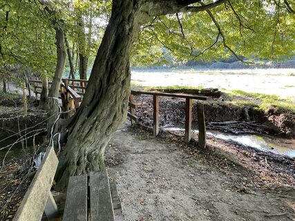 Fotografia z Thorsten Schulze na trase