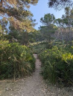Photo de michael arnold 3 le long du parcours