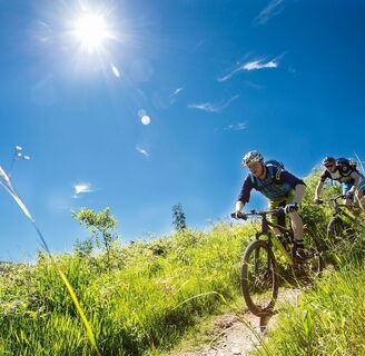 Mountainbiker fahren durch Wiese bergab bei schönem Sommerwetter