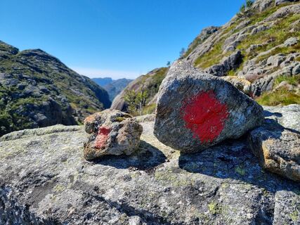 Photo de Andreas Mohr le long du parcours