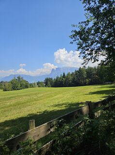 Foto von Michael Weiss2 entlang der Tour