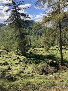 Foto von PP67R entlang der Tour