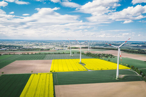 Luftaufnahme der Landschaft Schöppingen
