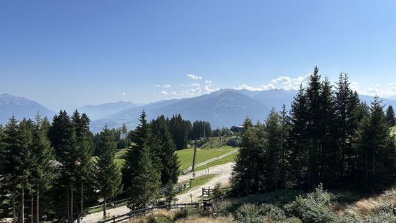 Foto von deltoideus entlang der Tour