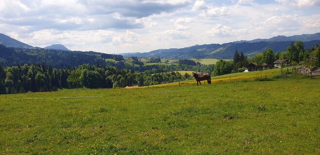 Foto de Hans-Rudolf Held a lo largo del recorrido