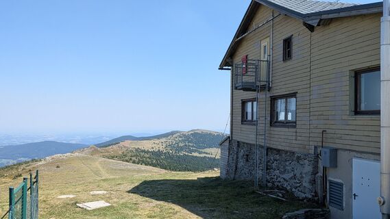 Fotografia z sosi na trase