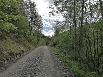 Der Güterweg im Mellental