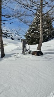 Foto de Sophiehedo a lo largo del recorrido