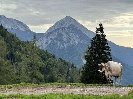 Foto von Anne Kathrin Winter entlang der Tour