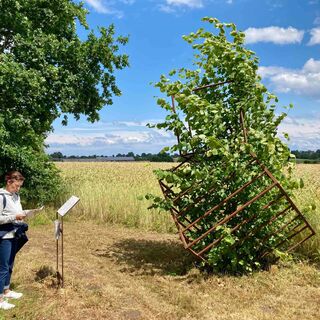 Baum-Mensch-Baum