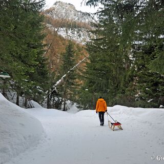 Leicht ansteigend mit zahlreichen Kehren geht es Bergan.