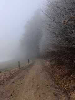 Fotografija s spletne strani Danielastrasser na poti