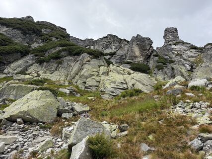 Fotografija s spletne strani Gorgi na poti