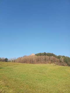 Foto von Laifernorbert entlang der Tour