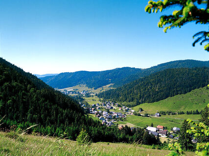 Blick auf Menzenschwand