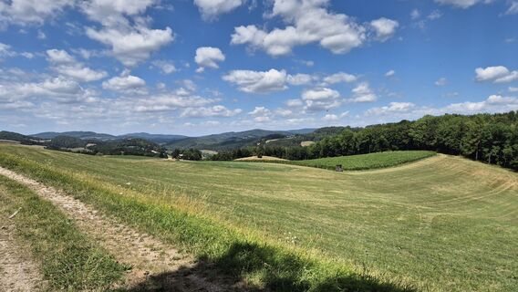 Foto von Claudia Maurer entlang der Tour