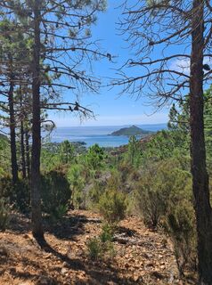 Foto de W B MA a lo largo del recorrido