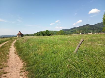 Photo de Daniel BELAT le long du parcours