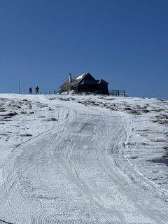 Photo de Schabsi le long du parcours