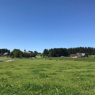 Schönwald - Blick auf Escheck
