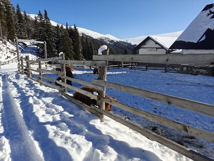 Fotografija s spletne strani Luca Sangiorgio na poti