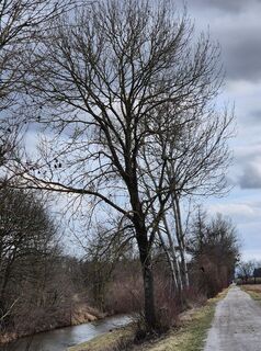 Foto de josef duermoser a lo largo del recorrido