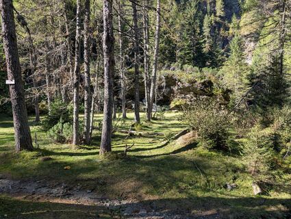 Fotografija s spletne strani Phil na poti
