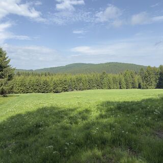 Fotografia z Steffen Kiesel na trase