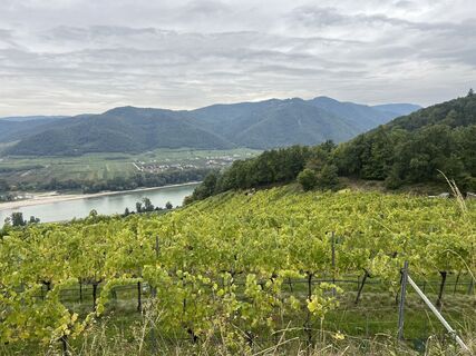 Fotografia z kristianduus na trase