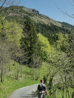 Fotografija s spletne strani Waldläufer na poti