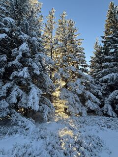 Fotografia z Georgiamartin0815 na trase