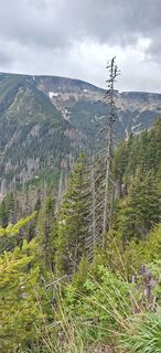 Fotografia z Hallunke Frank na trase