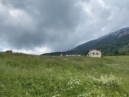 Fotografija s spletne strani Nicola Biancardi na poti