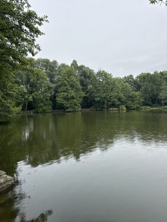 Zdjęcie z Harald Engel wzdłuż trasy