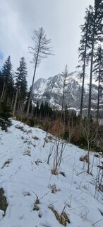 Photo de Alabax+bergfex le long du parcours