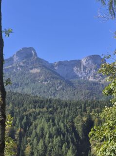 Foto von Reise5 Koenigin entlang der Tour