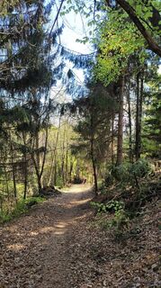 Fotografia z Juliane Jarke na trase