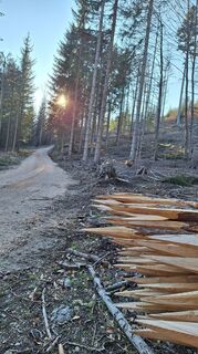 Foto von Aga M entlang der Tour