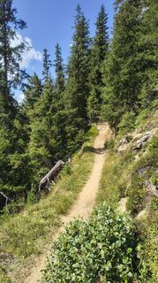 Foto von Freebiker entlang der Tour