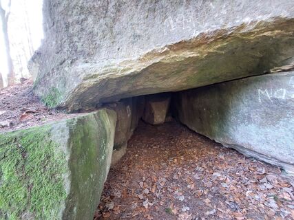 Photo de Monika Horvath 1 le long du parcours
