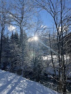 Fotografija s spletne strani Marie na poti